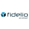 ERP Business Analyst