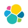 IT Internal Audit Analyst
