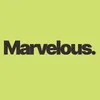 Finance Manager