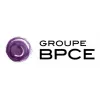 Rapid Application Developer