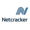 Program Director