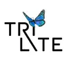 OPTICAL ENGINEER (fulltime) (f / m / d)